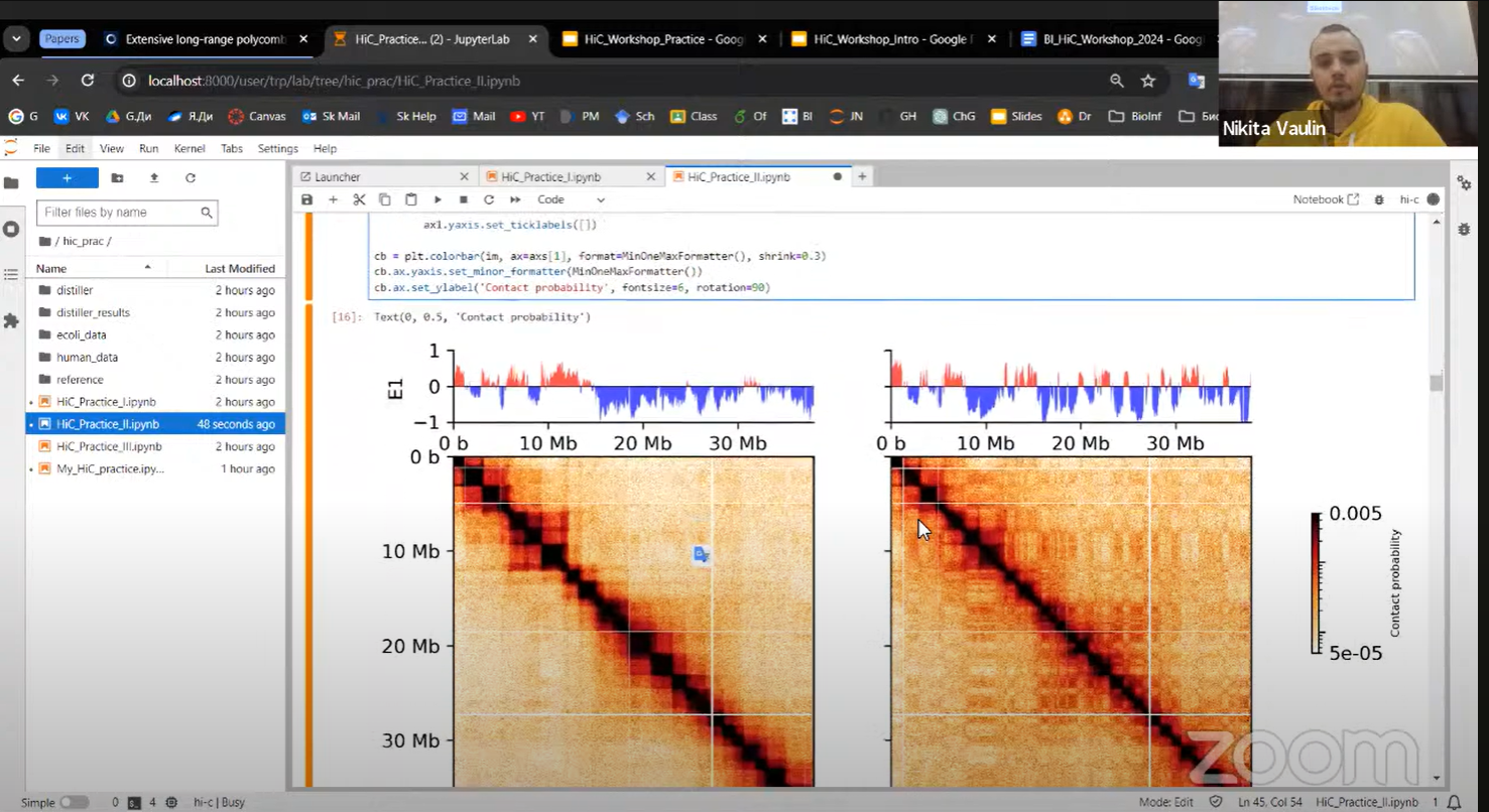 Working with Hi-C matrix