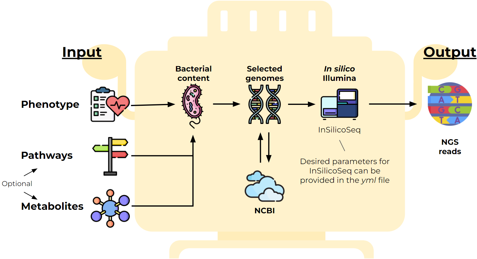 Metagenomics experience